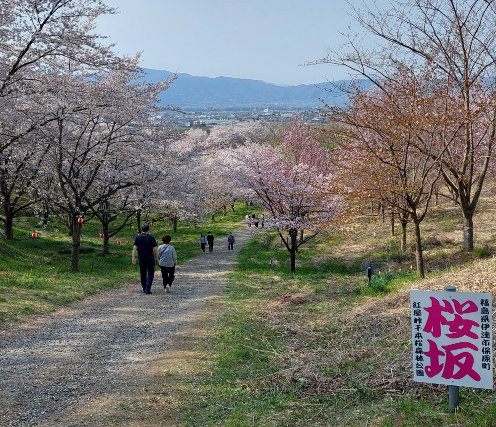 GWのお休み